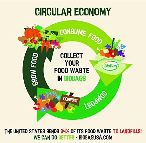 Infographic illustrating the circular economy in food waste management using BioBags.