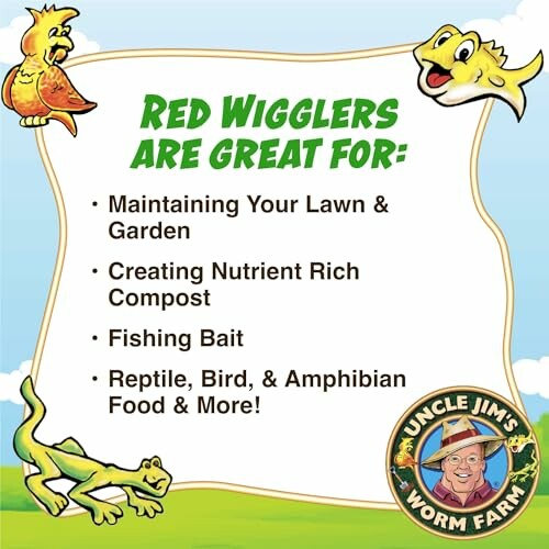 Benefits of red wigglers for lawn, compost, bait, and pet food.