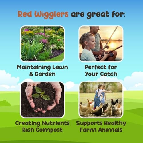 Benefits of red wigglers for lawn, fishing, compost, and farm animals