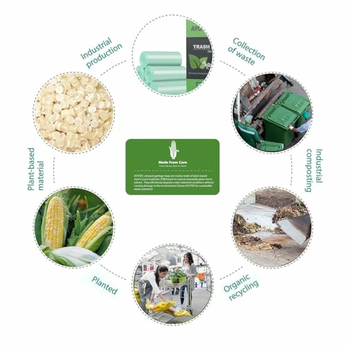 Cycle of sustainable packaging from plant-based material to recycling.